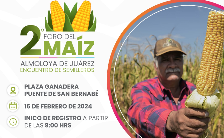Familas productoras de Almoloya De Juárez, este próximo 16 de febrero realizaremos el Segundo Foro Del Maíz Encuentro de Semilleros