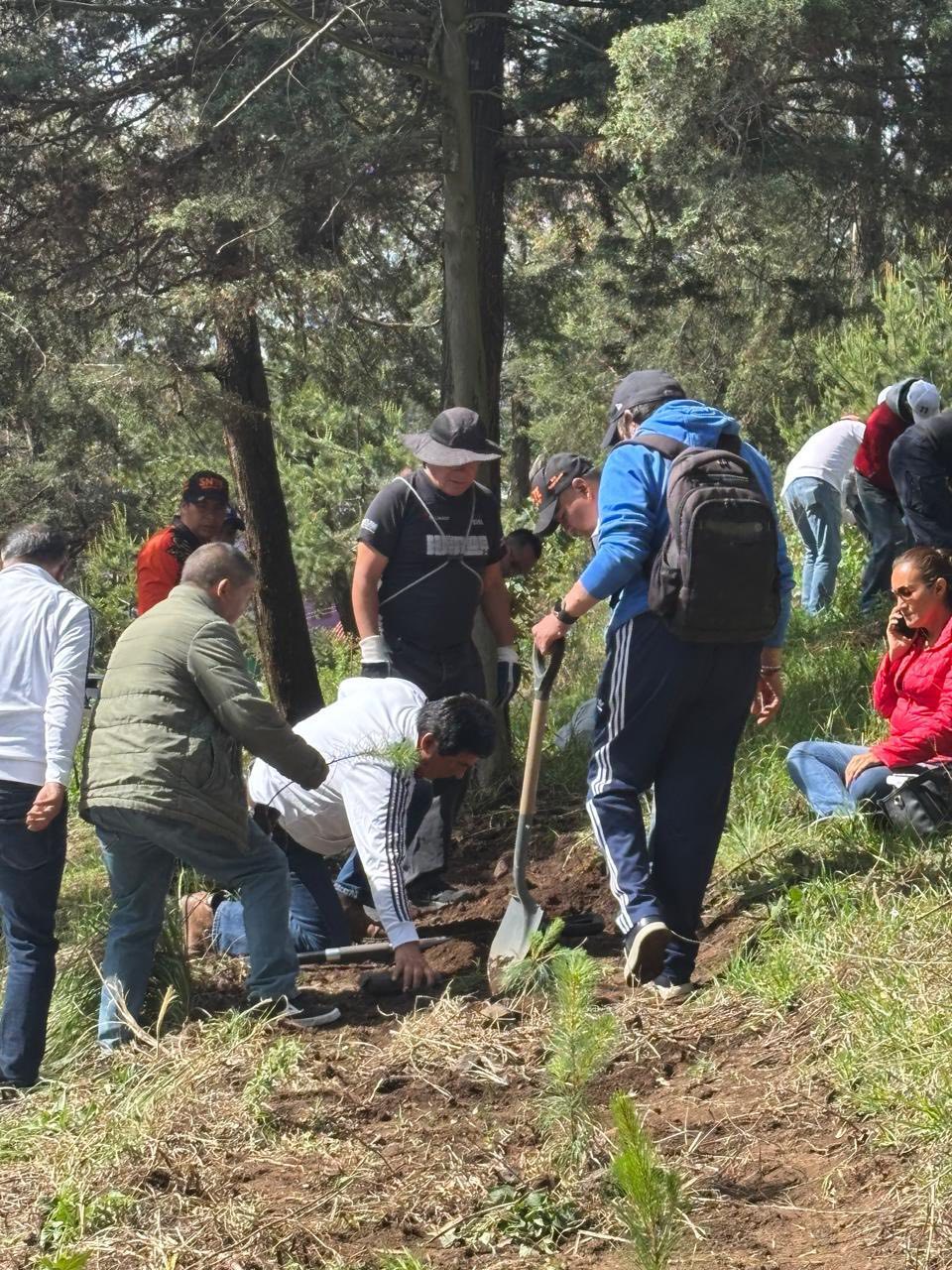 Jornada de Reforestación de la Sección 17 del SNTE