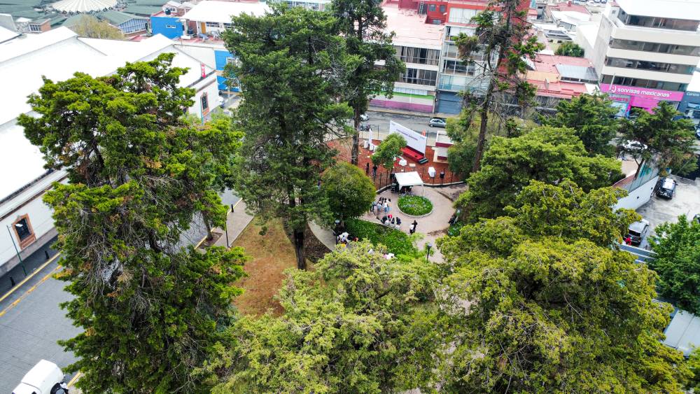 Toluca se Viste de Verde