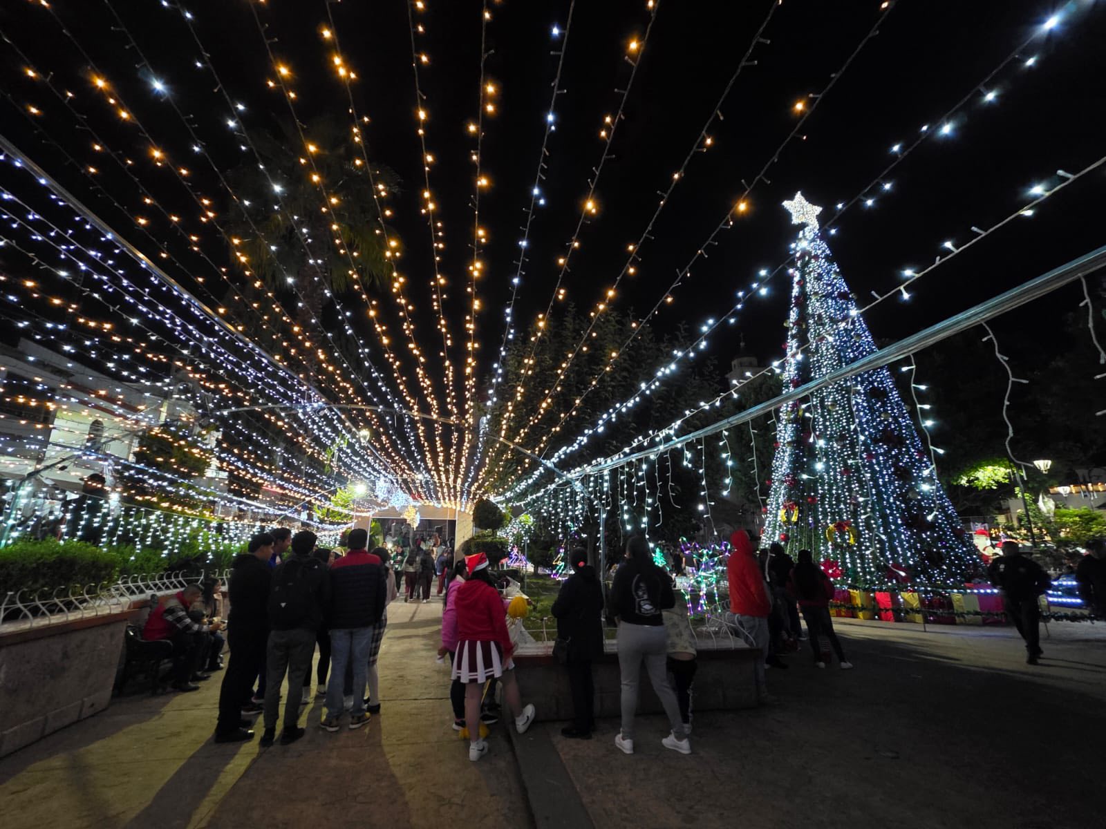 Encendido del Árbol de Navidad en Coatepec Harinas