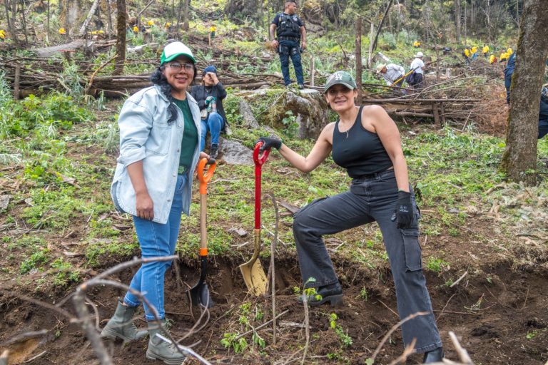 Tianguistenco realiza jornada forestal para prevenir inundaciones