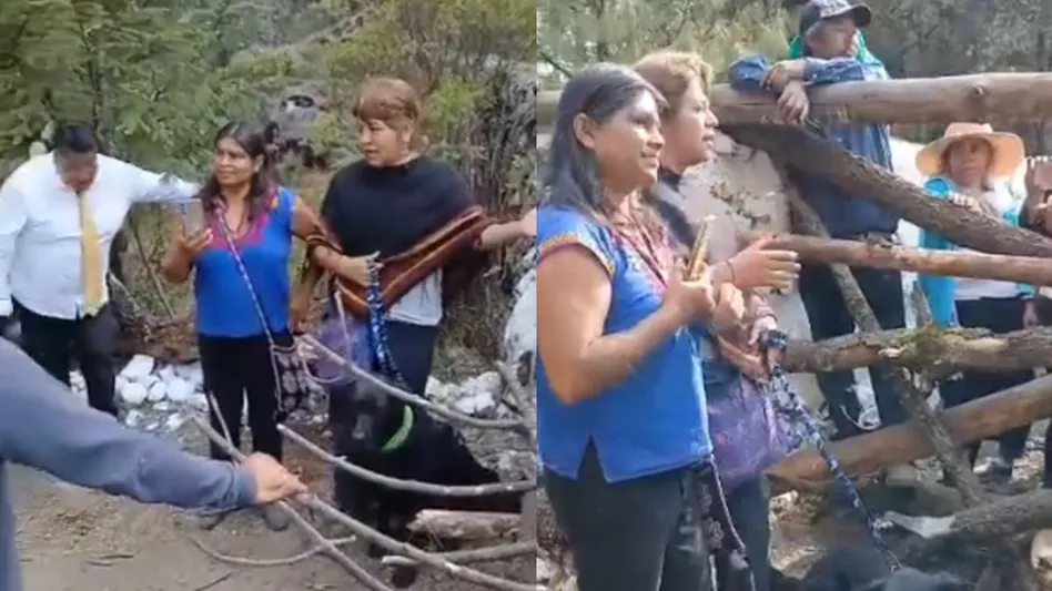 Lincharon a mujeres turistas por bañar a su perro; autoridades en Temoaya ausentes