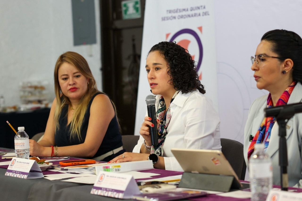IEEM realiza sesión del Observatorio de Mujeres