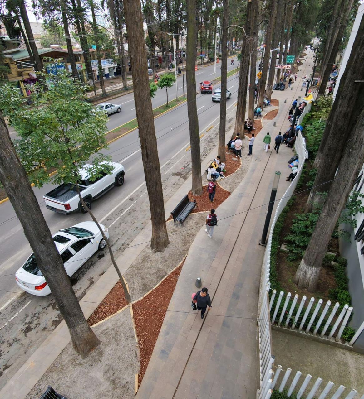 Avanza rehabilitación de Paseo Colón en Toluca