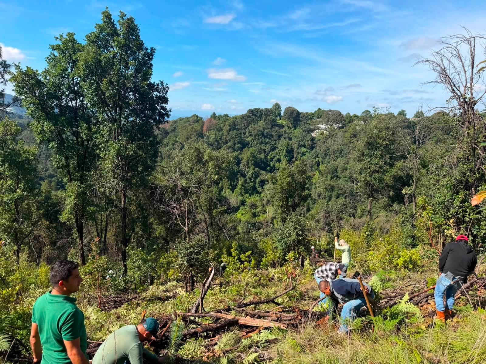 Suman esfuerzos por los bosques en Coatepec Harinas