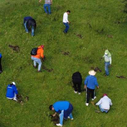 Toluca alista jornada para plantar 12 mil árboles