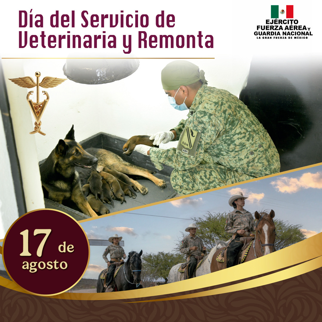 Día del Servicio de Veterinaria y Remonta