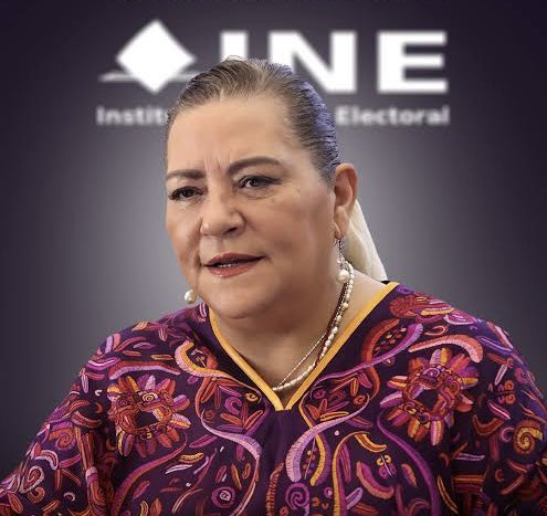 Taddei renuncia al INE entre escándalos